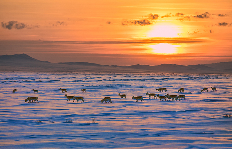 winter mongolia photography 
